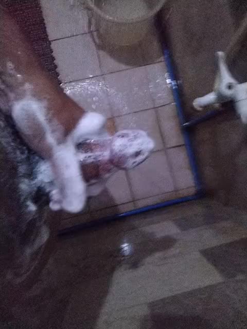 Cleaning my tool