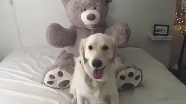 Trust fall