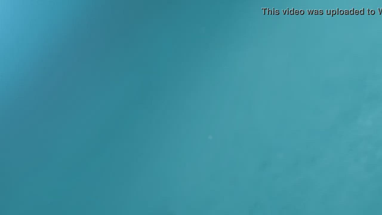 Blowjob Brunette Cowgirl Cumshot Deepthroat Doggystyle Handjob Hardcore POV Piercing