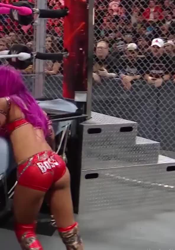 Sasha HIAC16 3