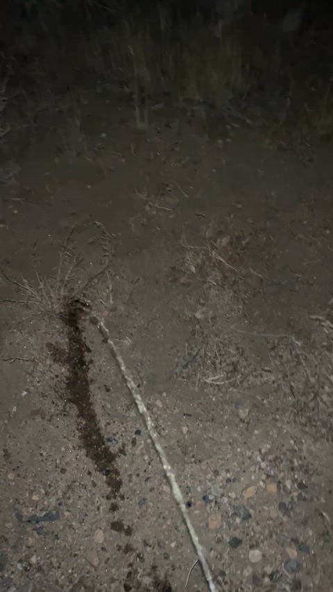 night outdoor pov peeing piss pissing public sfw solo gif