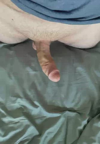 Balls Big Dick Penis gif