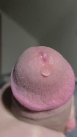 jerk off male masturbation masturbating penis precum gif